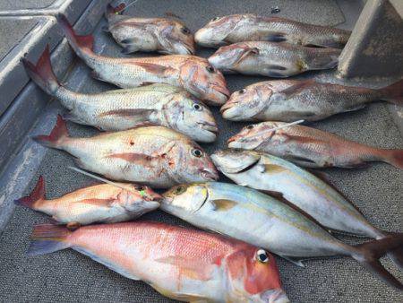 幸風（さちかぜ） 釣果