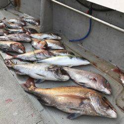 寿裕 （YOSHIHIRO） 釣果