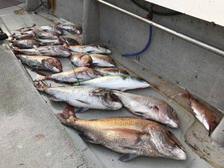 寿裕 （YOSHIHIRO） 釣果