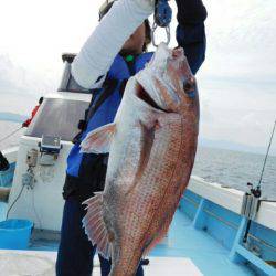 海晴丸 釣果