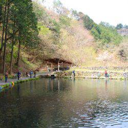 小菅トラウトガーデン 釣果