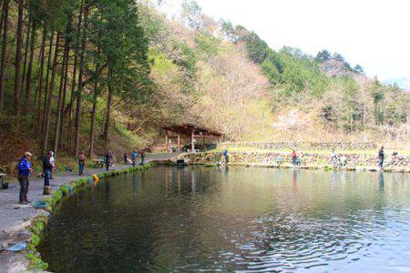 小菅トラウトガーデン 釣果