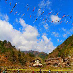 小菅トラウトガーデン 釣果