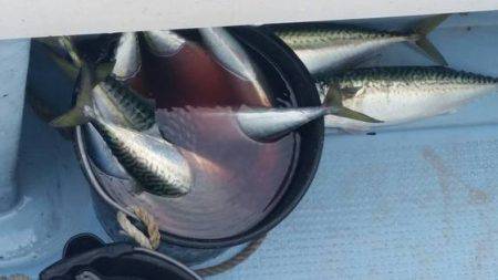 第五慶門丸 釣果