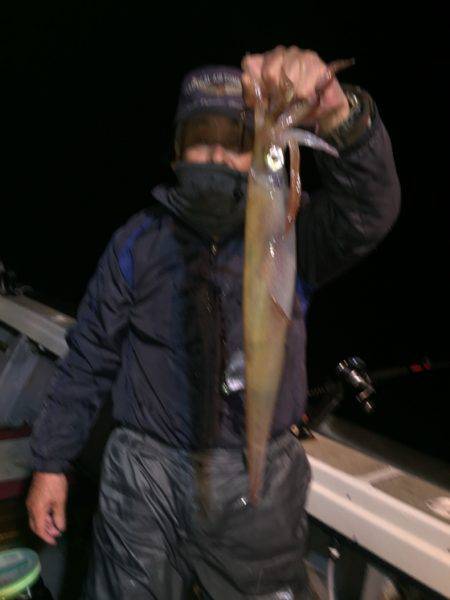 幸風（さちかぜ） 釣果