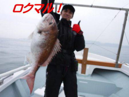 遊漁船 幸友丸 釣果