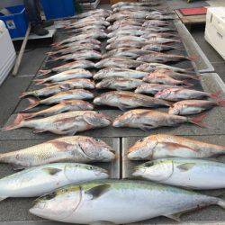 幸風（さちかぜ） 釣果