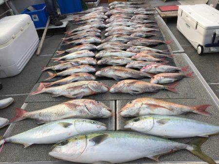 幸風（さちかぜ） 釣果