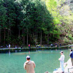 小菅トラウトガーデン 釣果