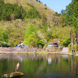 小菅トラウトガーデン 釣果