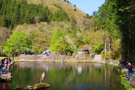 小菅トラウトガーデン 釣果