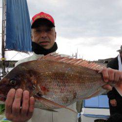 大進丸(新潟) 釣果