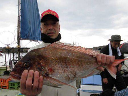 大進丸(新潟) 釣果