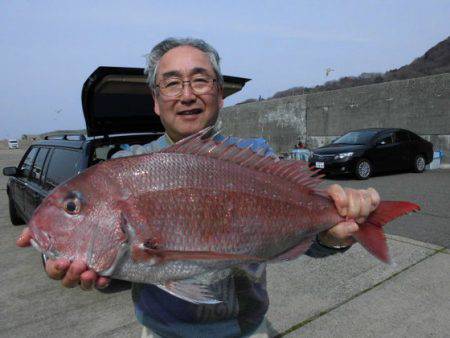 大進丸（新潟） 釣果