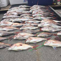 幸風（さちかぜ） 釣果