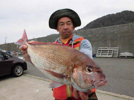 大進丸（新潟） 釣果
