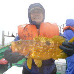 真祐丸 （しんゆうまる） 釣果