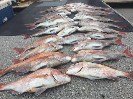 幸風（さちかぜ） 釣果