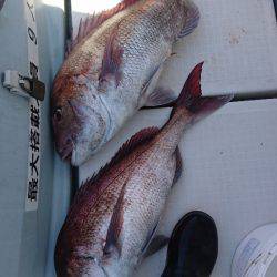 遊漁船ブルーウッズ 釣果