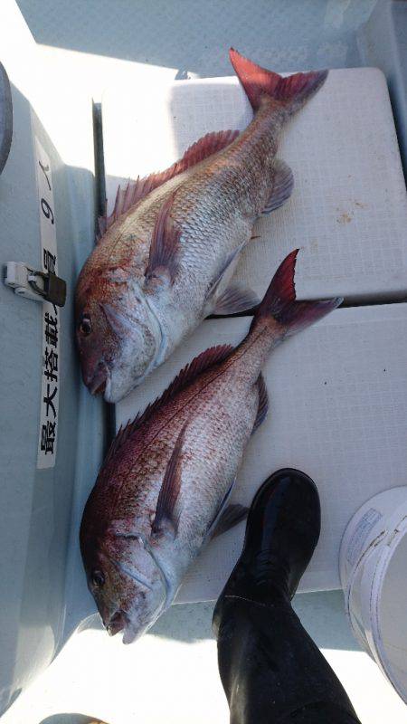 遊漁船ブルーウッズ 釣果