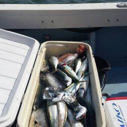 第五慶門丸 釣果