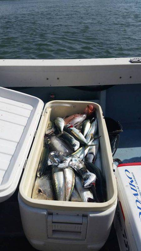 第五慶門丸 釣果