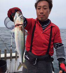 シーモンキー 釣果