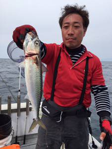 シーモンキー 釣果