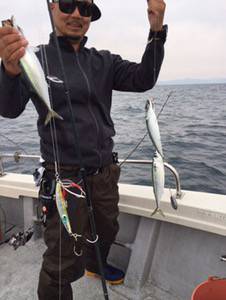 シーモンキー 釣果