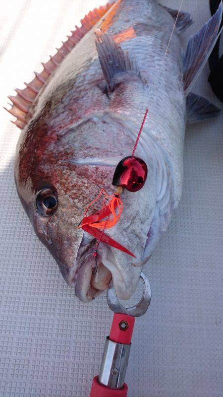 遊漁船ブルーウッズ 釣果