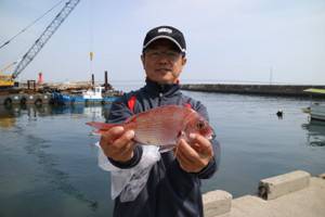 魚英 釣果