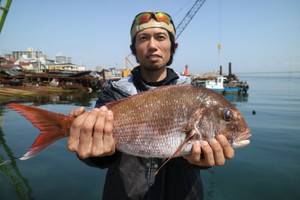 魚英 釣果