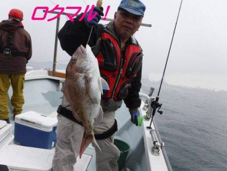 遊漁船 幸友丸 釣果