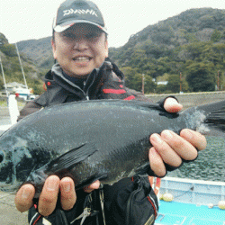 宮島丸 釣果