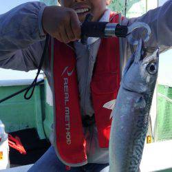 遊漁船 新鋭丸 釣果