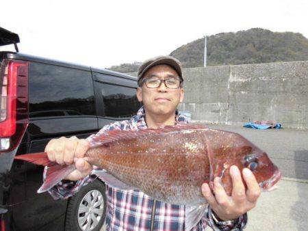 大進丸(新潟) 釣果