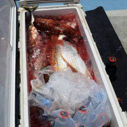 第五慶門丸 釣果