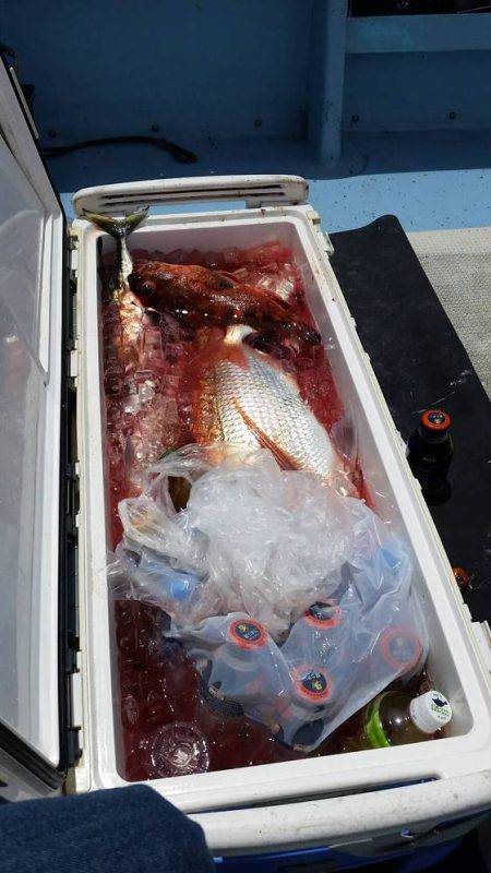 第五慶門丸 釣果