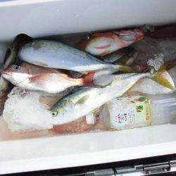 大進丸(新潟) 釣果