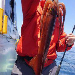 遊漁船 新鋭丸 釣果