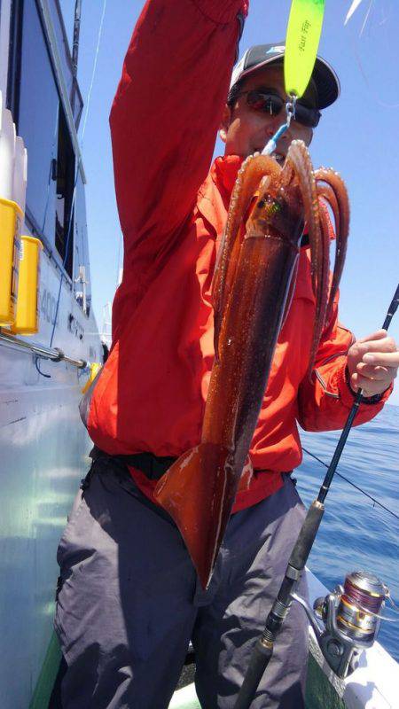 遊漁船 新鋭丸 釣果