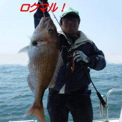 遊漁船 幸友丸 釣果