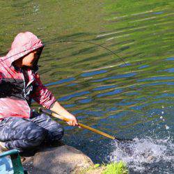 小菅トラウトガーデン 釣果