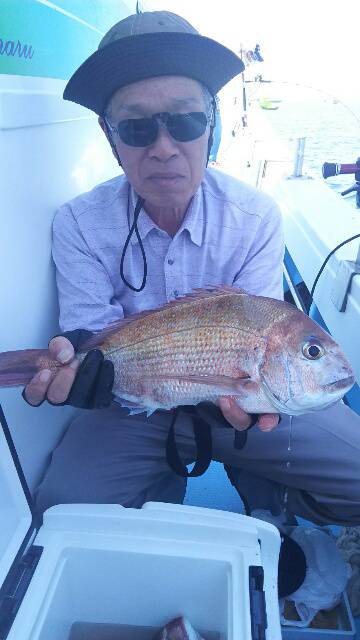 海晴丸 釣果