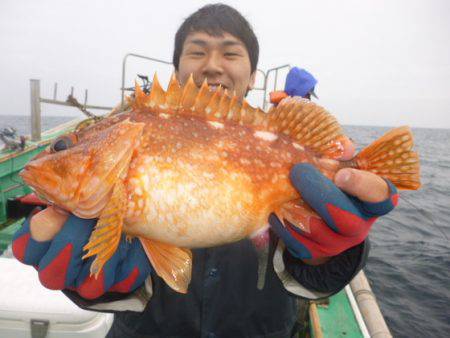 真祐丸 （しんゆうまる） 釣果