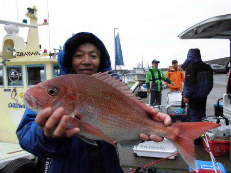 大進丸(新潟) 釣果