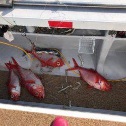 番匠高宮丸 釣果