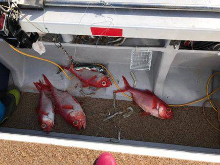 番匠高宮丸 釣果