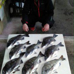 ふじや釣舟店 釣果