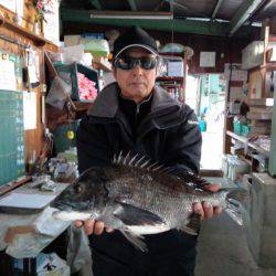 ふじや釣舟店 釣果